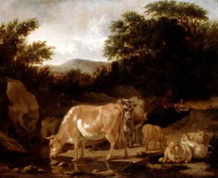 Kor och får i skogen